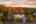 Blurred preview of media: 1-112