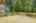 Blurred preview of media: bristow_111