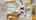 Blurred preview of media: Unknown media