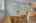 Blurred preview of media: 20