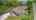 Blurred preview of media: 4