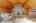 Blurred preview of media: 243 Concord Road Westford Massachusetts Job 38085 0051