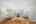 Blurred preview of media: DSC09380