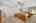 Blurred preview of media: 2-926-1734