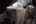 Blurred preview of media: Good Answer_-56