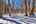 Blurred preview of media: IMG_0259_60_61_easyHDR