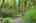Blurred preview of media: 260141-27a