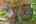 Blurred preview of media: 139 Bailey Road Holden Massachusetts Job 39208 0017