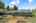 Blurred preview of media: SW 41st ave-03