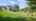 Blurred preview of media: IMG_001