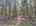 Blurred preview of media: DJI_20260505133817_0778_D_79_D_80_D_easyHDR