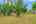 Blurred preview of media: 29