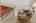 Blurred preview of media: 277 Main Street Bolton Massachusetts Job 38618 0089