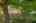 Blurred preview of media: 28