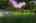 Blurred preview of media: 260190T-4a