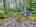 Blurred preview of media: DJI_20250602145141_0577_D_8_D_9_D_easyHDR