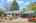 Blurred preview of media: 1-5
