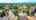 Blurred preview of media: 42