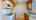 Blurred preview of media: 122-Keats-Drive-04242026_061751