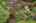 Blurred preview of media: 260105-1a