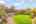 Blurred preview of media: 25 Avon Road 71