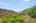Blurred preview of media: 201 Quail Fritch-41