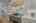 Blurred preview of media: DSC01479