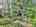 Blurred preview of media: DJI_20250602144937_0565_D_6_D_7_D_easyHDR