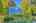 Blurred preview of media: 1.6