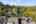 Blurred preview of media: 1-26