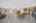 Blurred preview of media: 1-726-0553