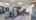 Blurred preview of media: 491-Ritson-Road-S-Main-Oshawa-09022025_223504