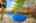 Blurred preview of media: 71