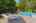 Blurred preview of media: Nerine_031