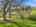 Blurred preview of media: 20499447-21