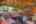 Blurred preview of media: IMG_1991