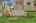 Blurred preview of media: DSC06561