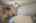 Blurred preview of media: Image-35