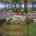 Blurred preview of media: hf_20261005_073633_d41be6bc-9953-438f-abac-2beb8ee1028d
