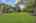Blurred preview of media: 250245-36a