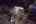 Blurred preview of media: Good Answer_-59