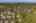 Blurred preview of media: Aerial 23