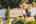 Blurred preview of media: 1-44