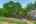 Blurred preview of media: 12430 Gentle Ben-65