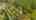Blurred preview of media: DJI_0574