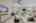 Blurred preview of media: DSC00244