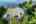 Blurred preview of media: DJI_0777 copy 2