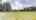 Blurred preview of media: Jarett-Mutts-Photography-06082018_084932