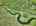Blurred preview of media: DJI_20260516141425_0971_D_2_D_3_D_easyHDR