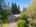 Blurred preview of media: 1-4